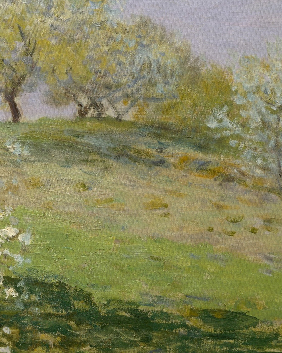canvas