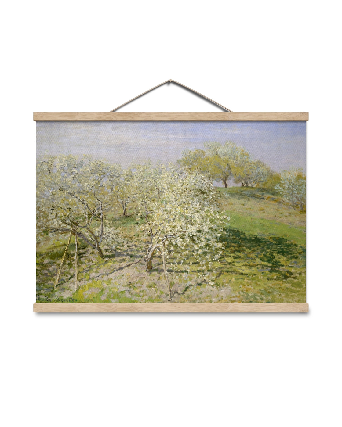 canvas