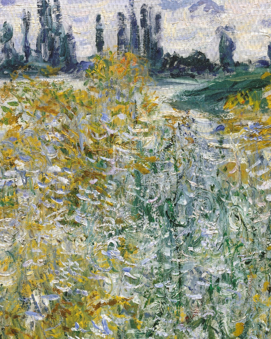 canvas
