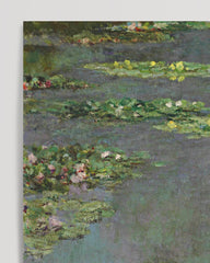 After Hover: Claude Monet - Water Lilies (French: Nymphéas) (1905)