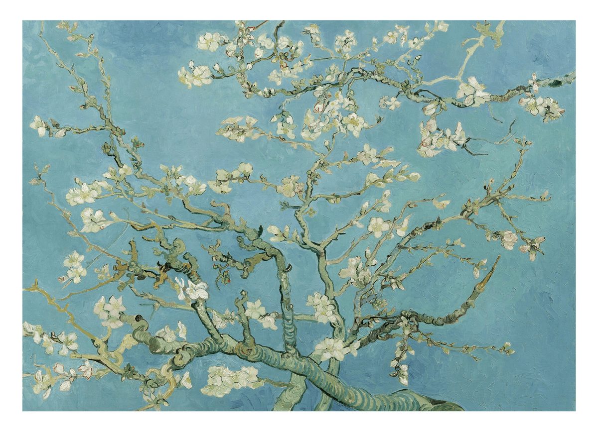 Vincent van Gogh - Mandelbaumzweige (1890)
