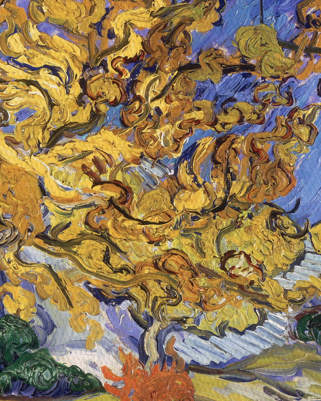 canvas