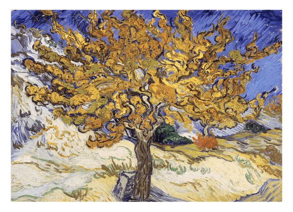 Vincent van Gogh - Maulbeerbaum (1889)