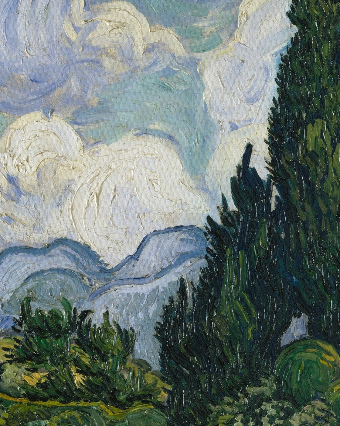 canvas