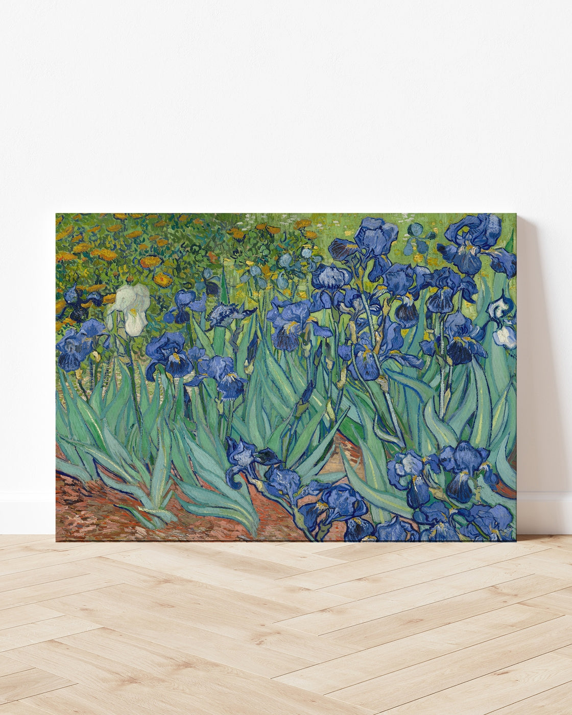 stretched-canvas