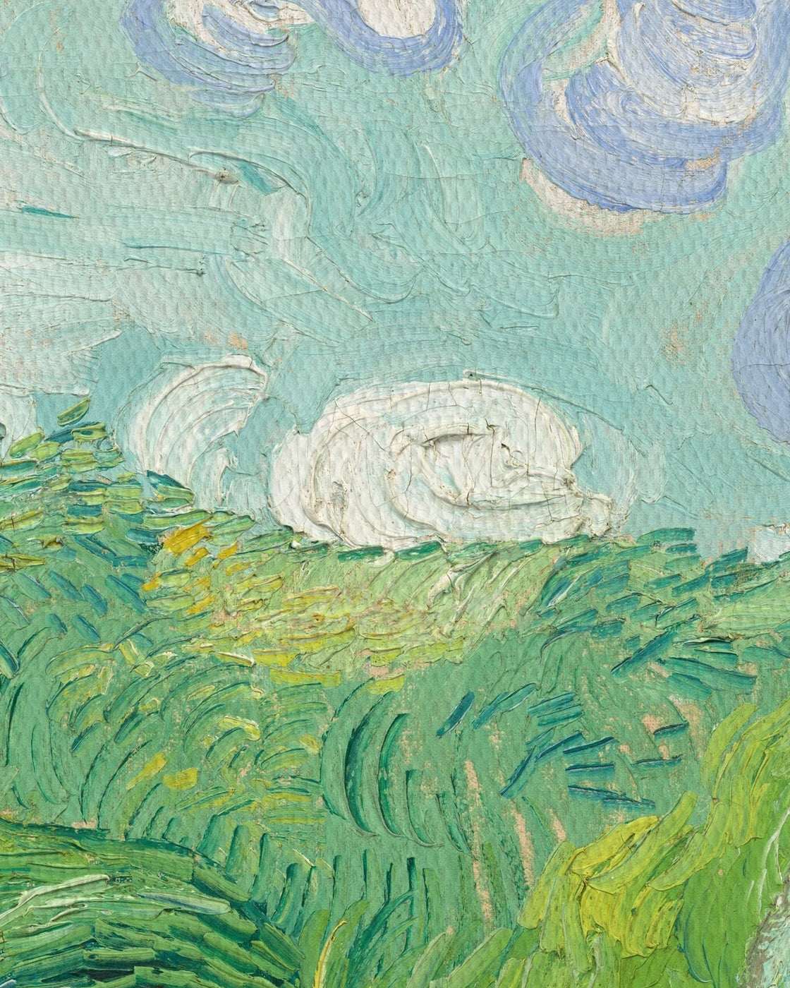 canvas