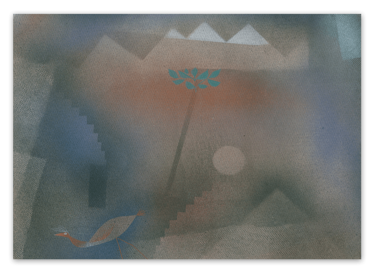 canvas