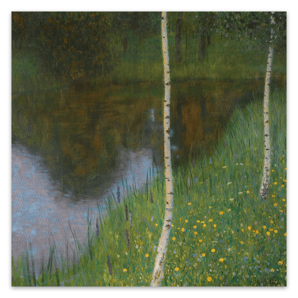 canvas