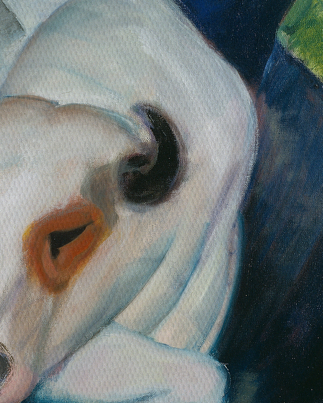 canvas