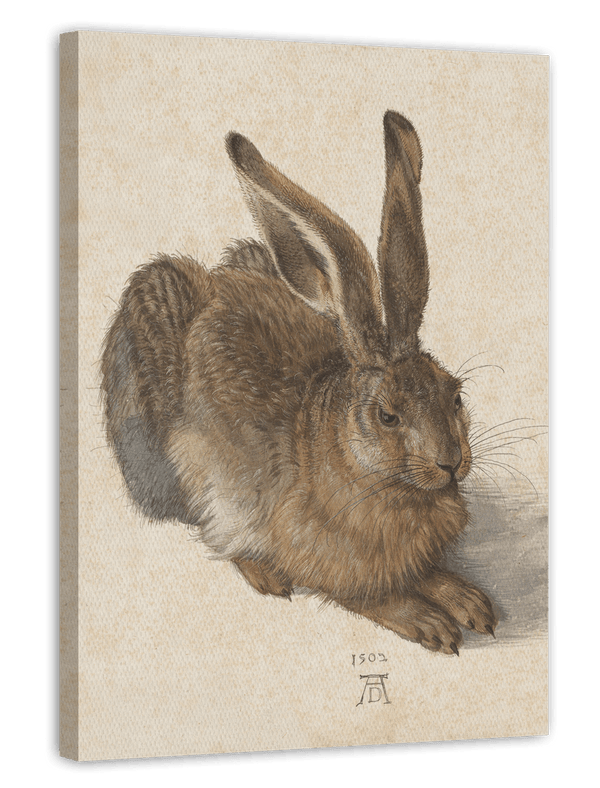 Albrecht Dürer - Feldhase