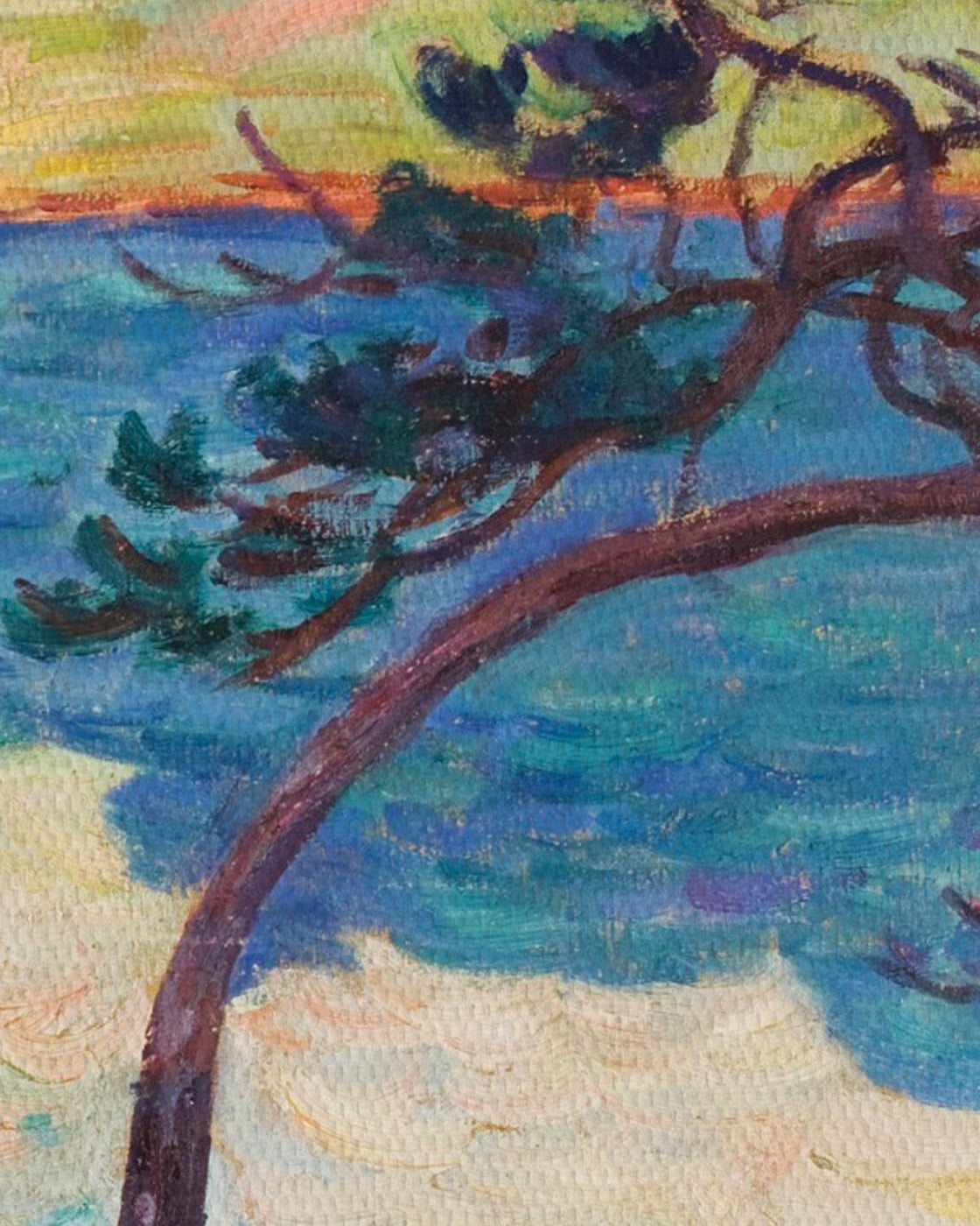 canvas