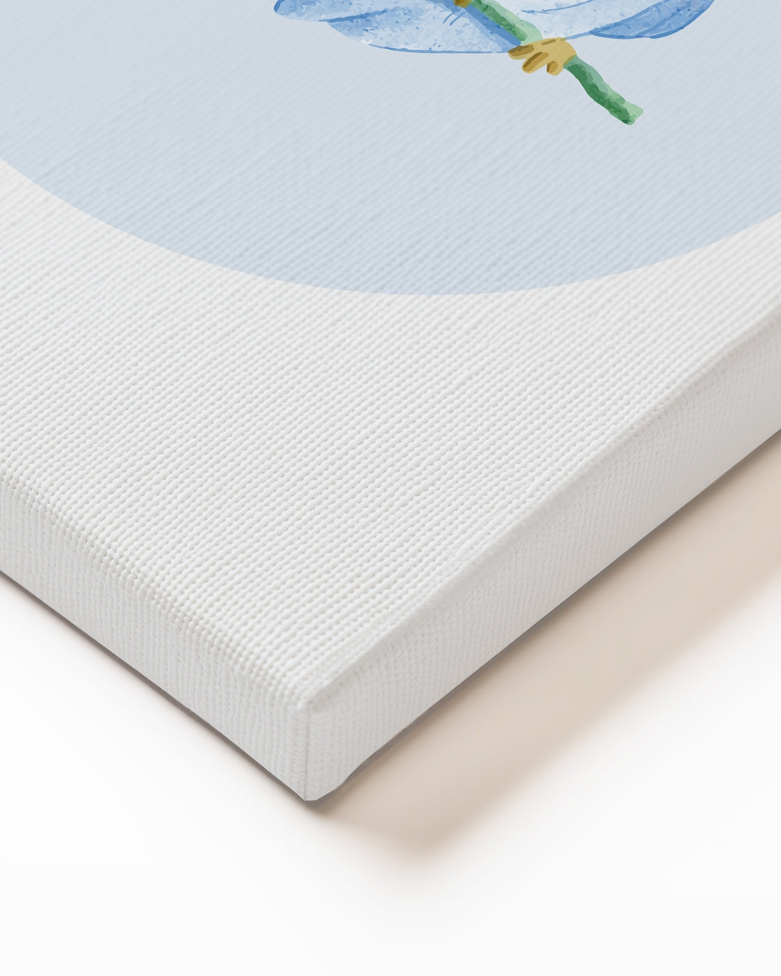 stretched-canvas
