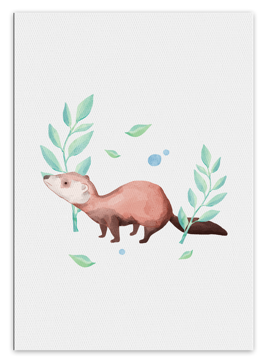 canvas