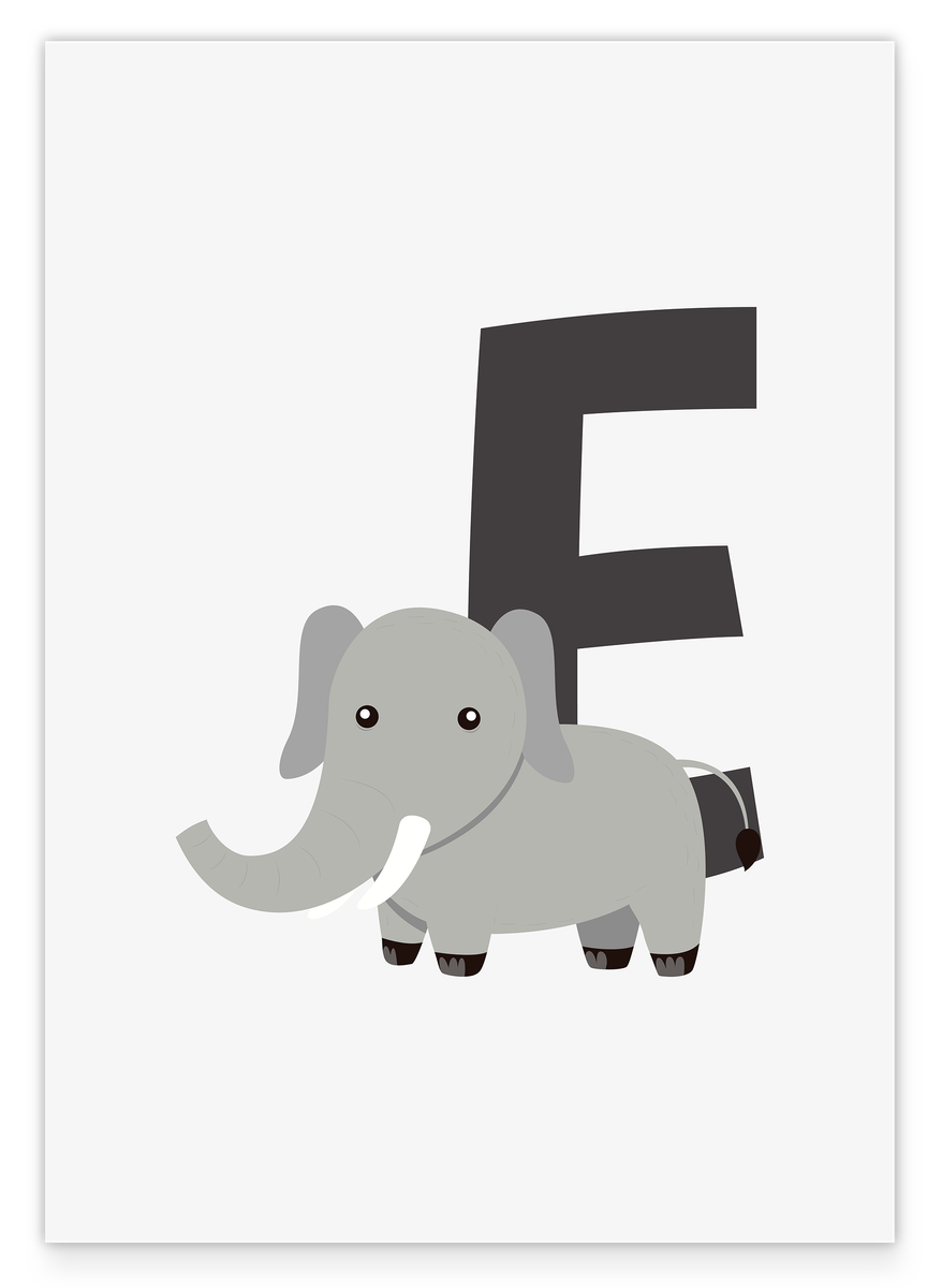 E for Elephant in White, ABC Learning, Cute Letter Decoration for Children