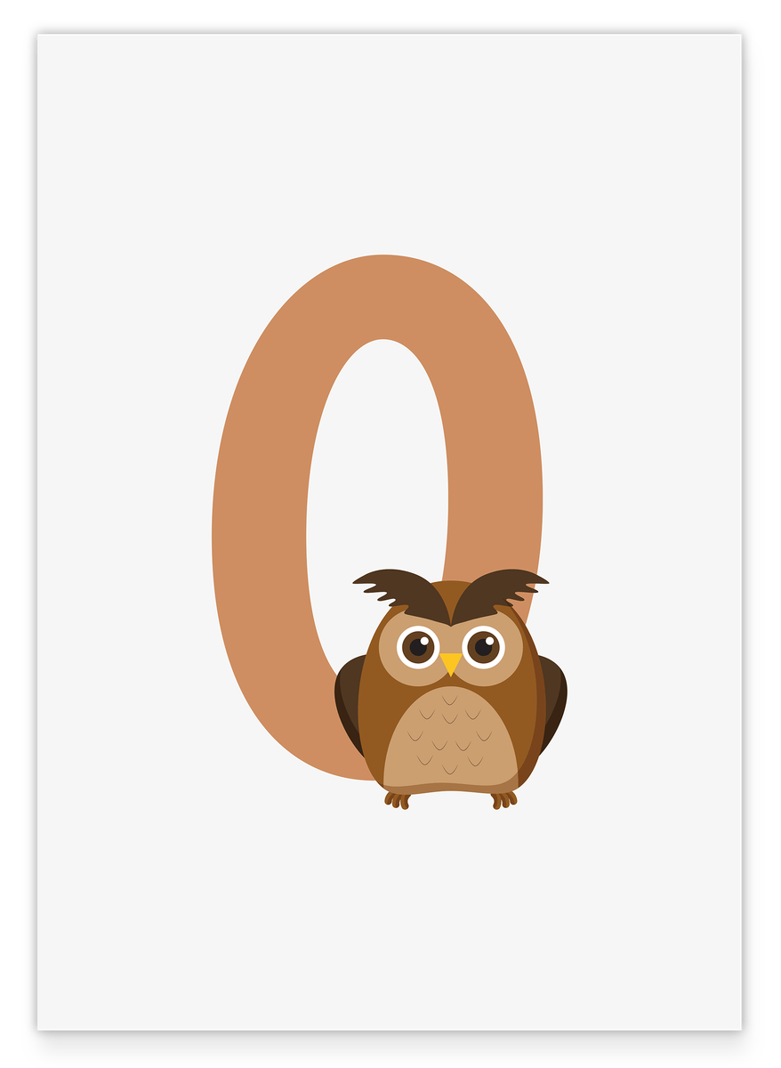 O is for Owl in White, English ABC Learning - Owl Illustration, Letter Decoration for Children