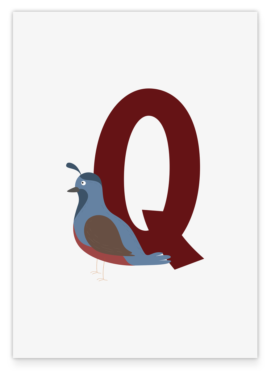 Q is for Quail - Wall decoration in white, learning the English ABC letters