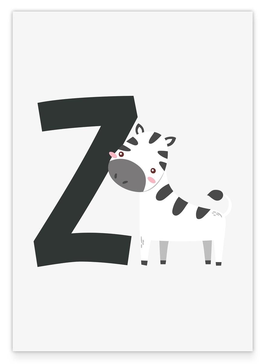 Z is for Zebra in white, Cute animal drawing with letters for children, ABC learning