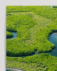 After Hover: River in the rainforest