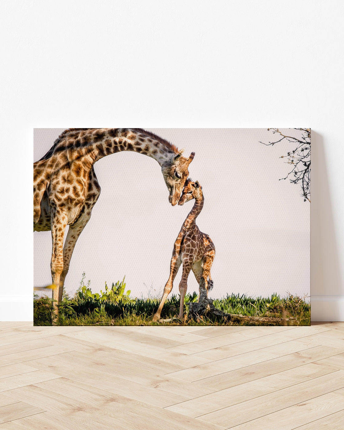 stretched-canvas