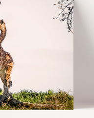 After Hover: Giraffe family