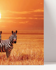 After Hover: Zebras at sunset