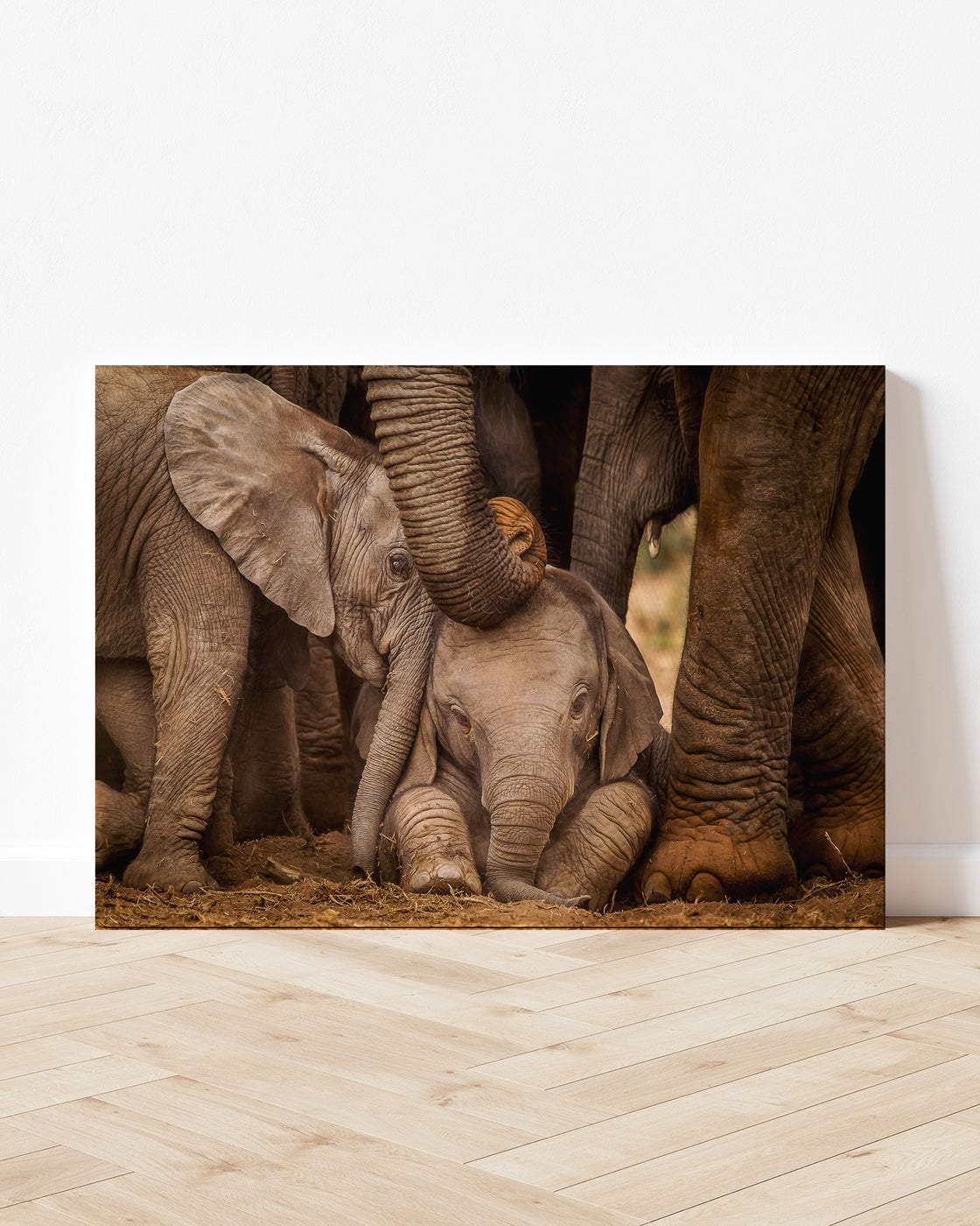 stretched-canvas
