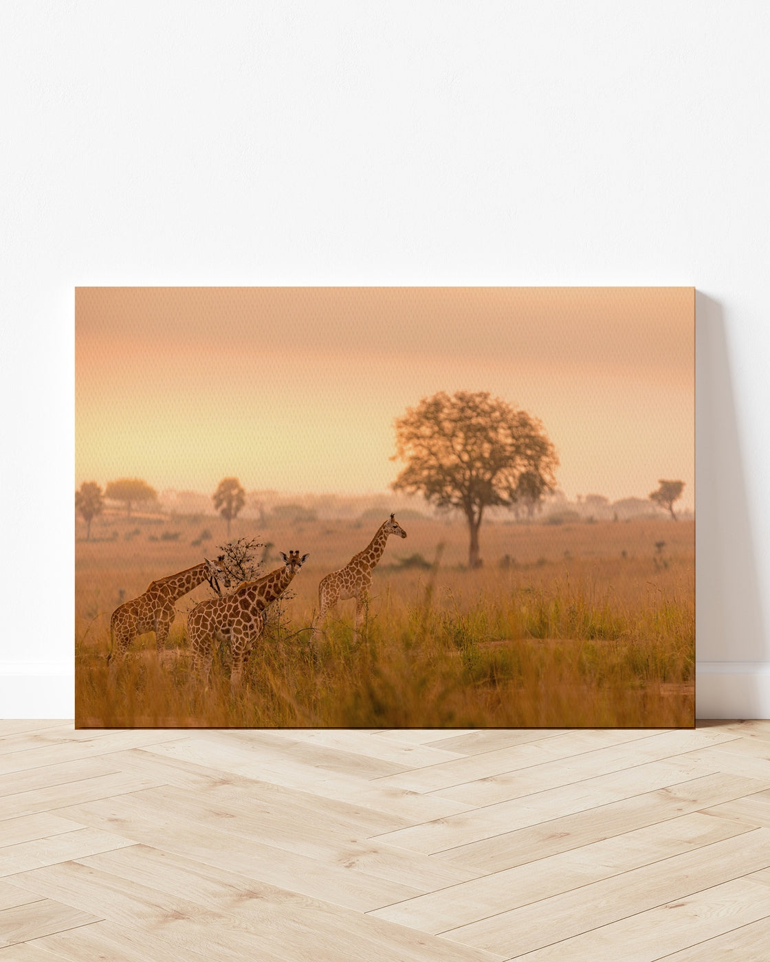 stretched-canvas