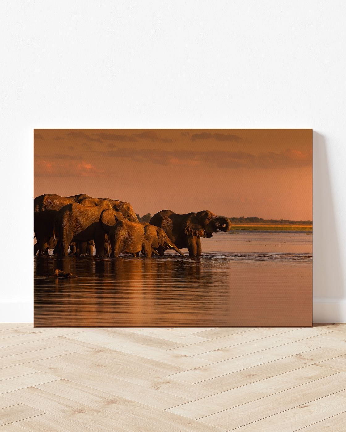 stretched-canvas