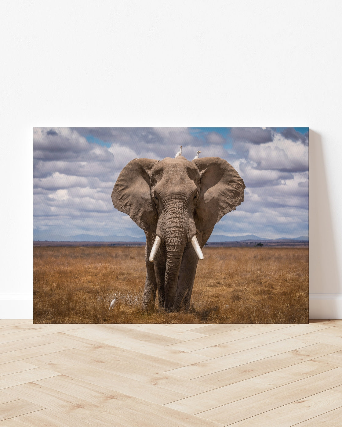 stretched-canvas