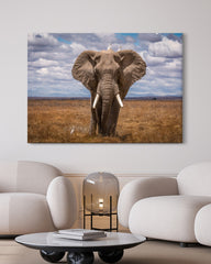 After Hover: Afrikanischer Elefant