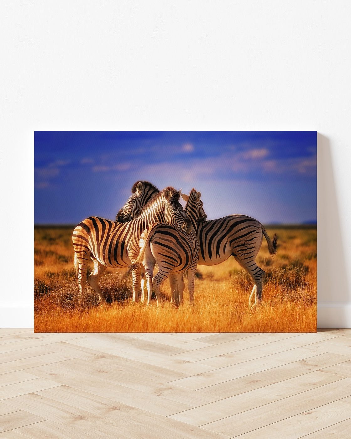 stretched-canvas