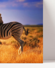 After Hover: Zebra herd