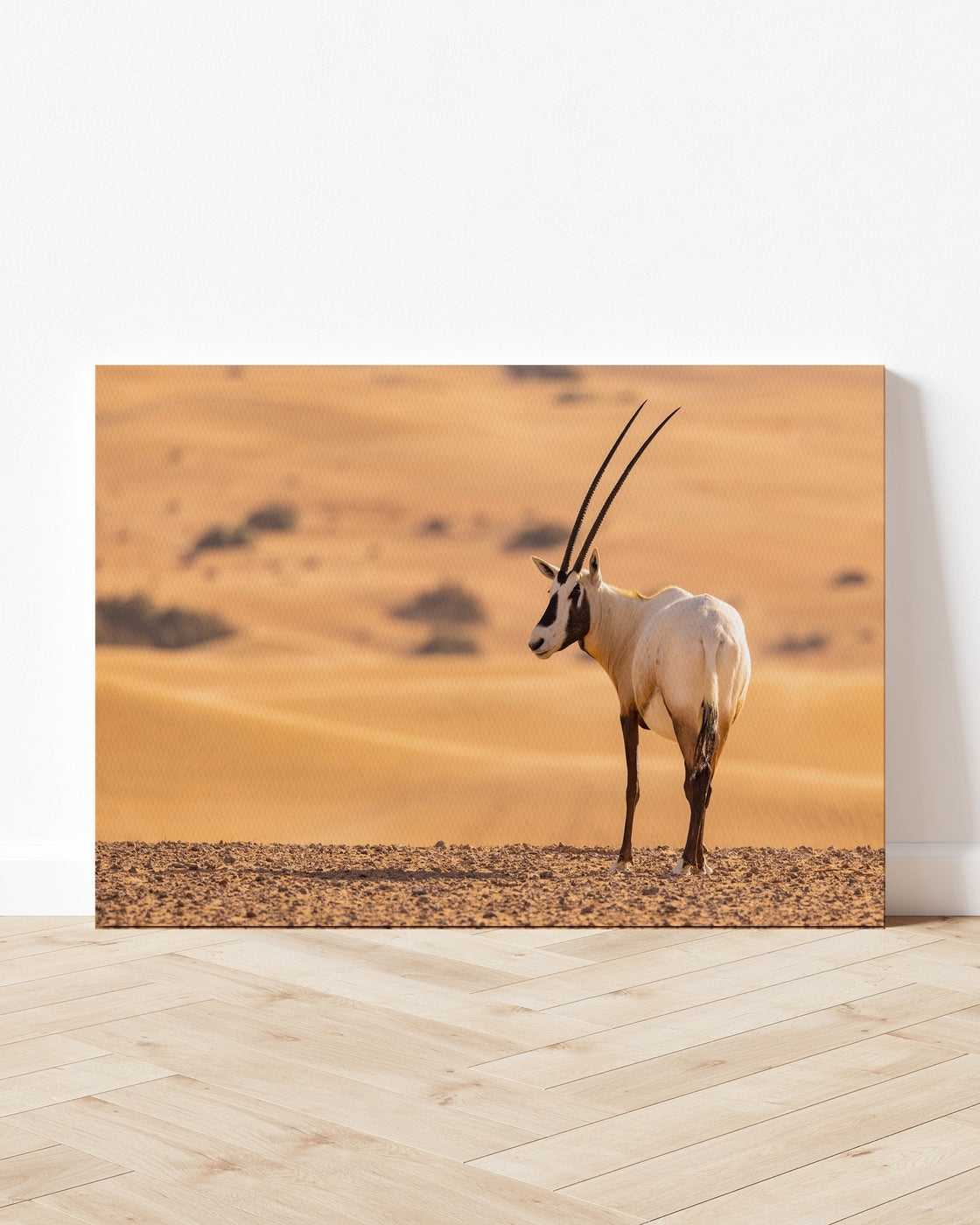 stretched-canvas