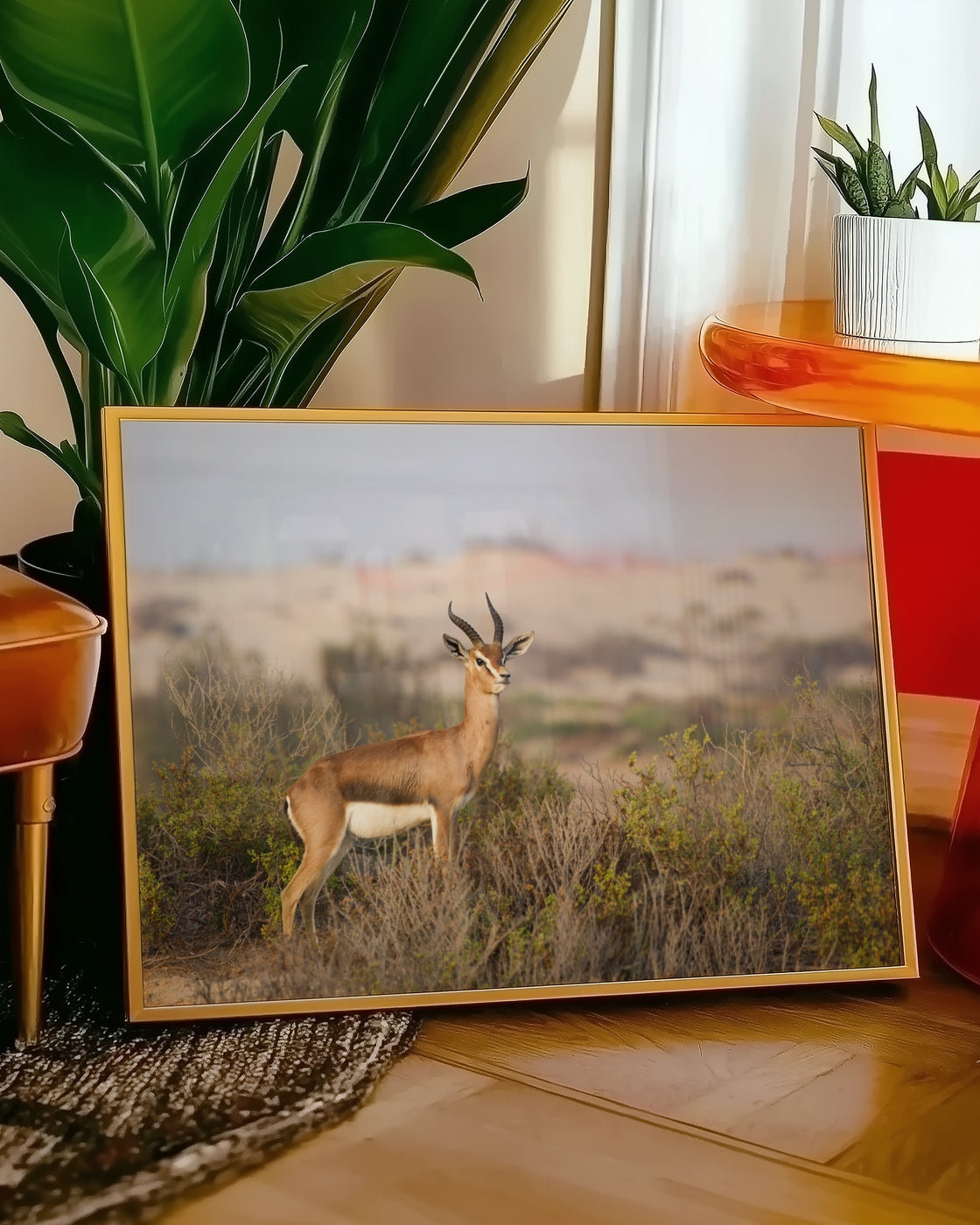 canvas