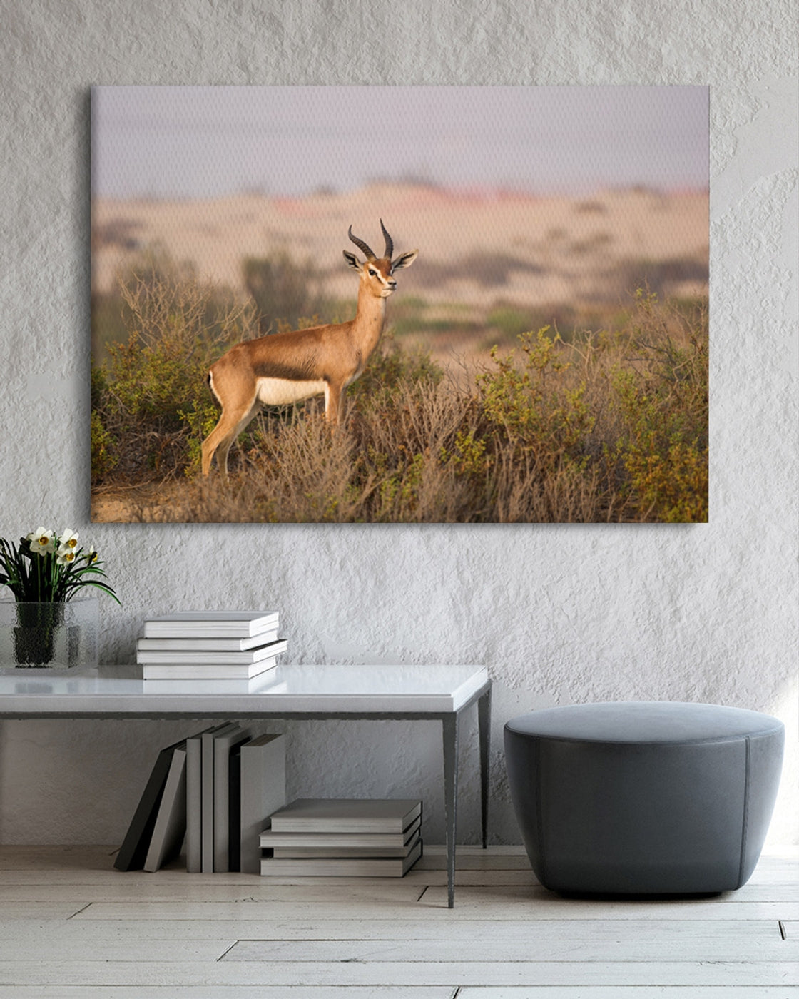 stretched-canvas