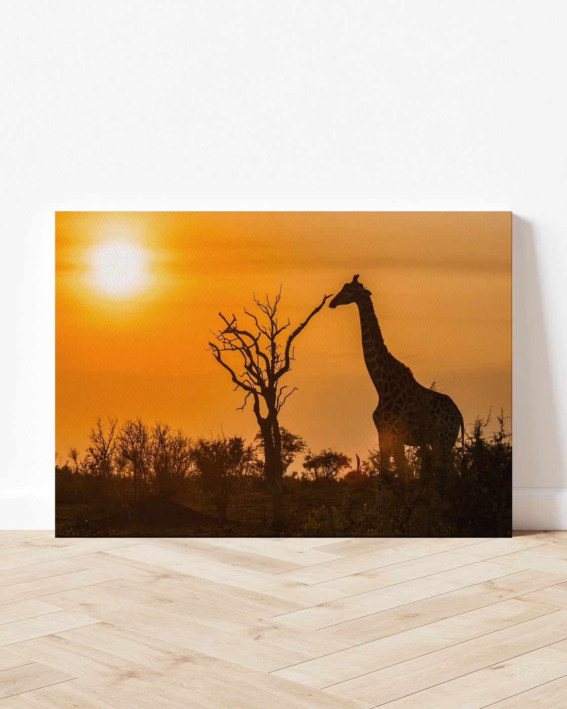 stretched-canvas