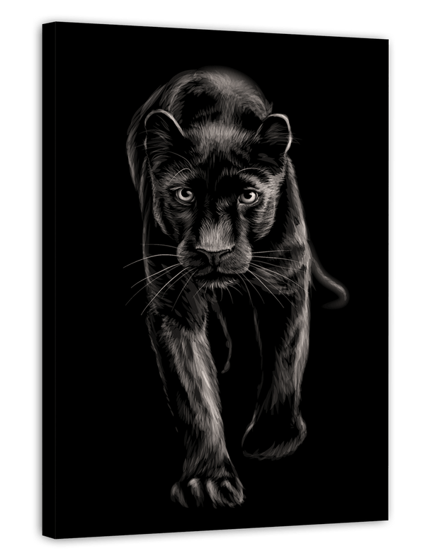 Schwarzer Panther