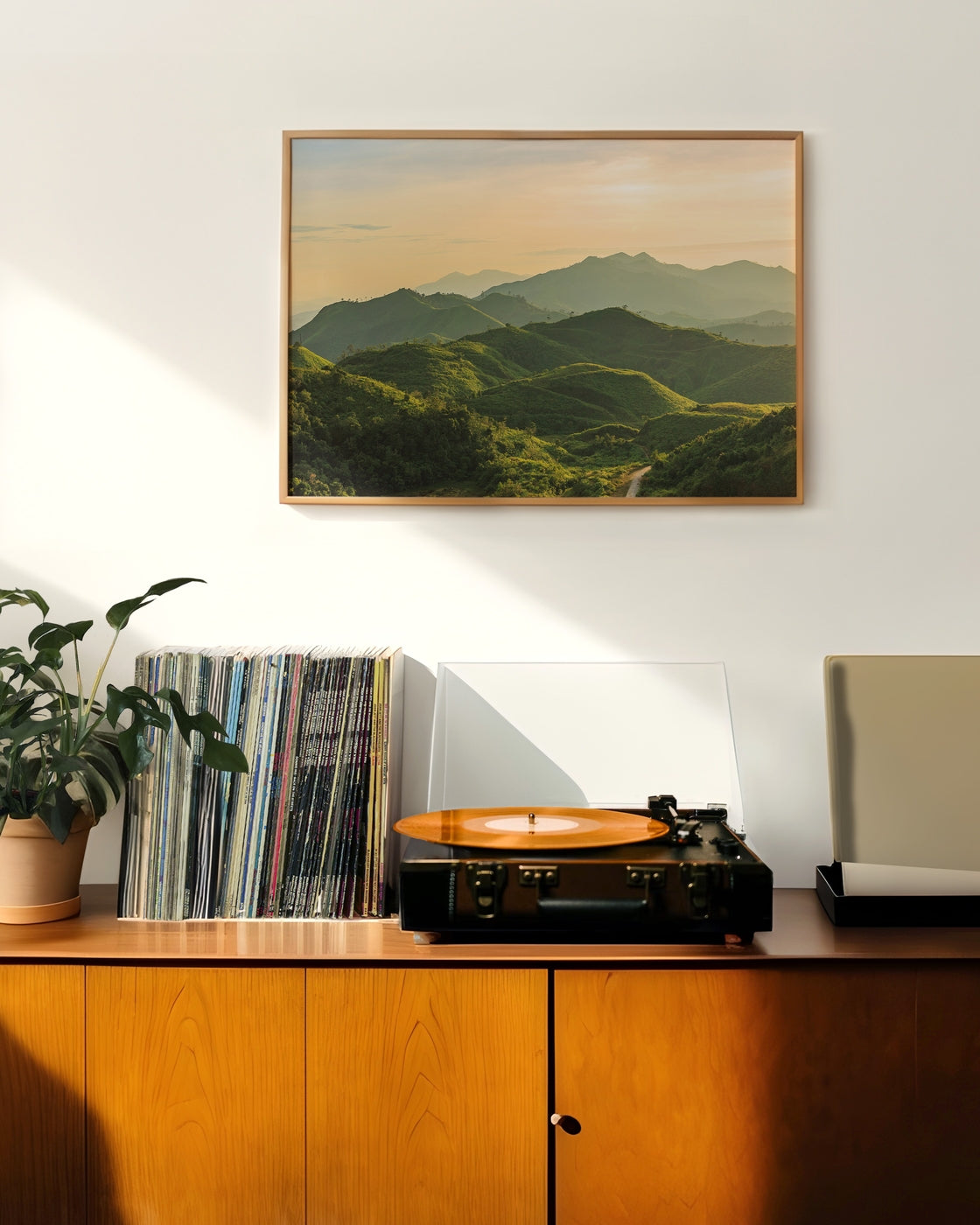 canvas