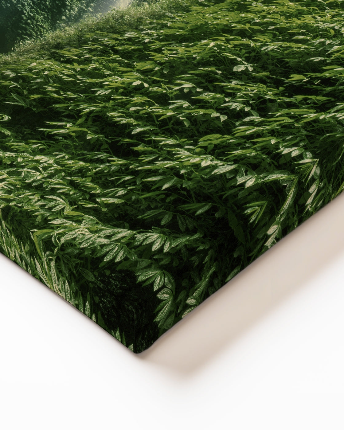 stretched-canvas