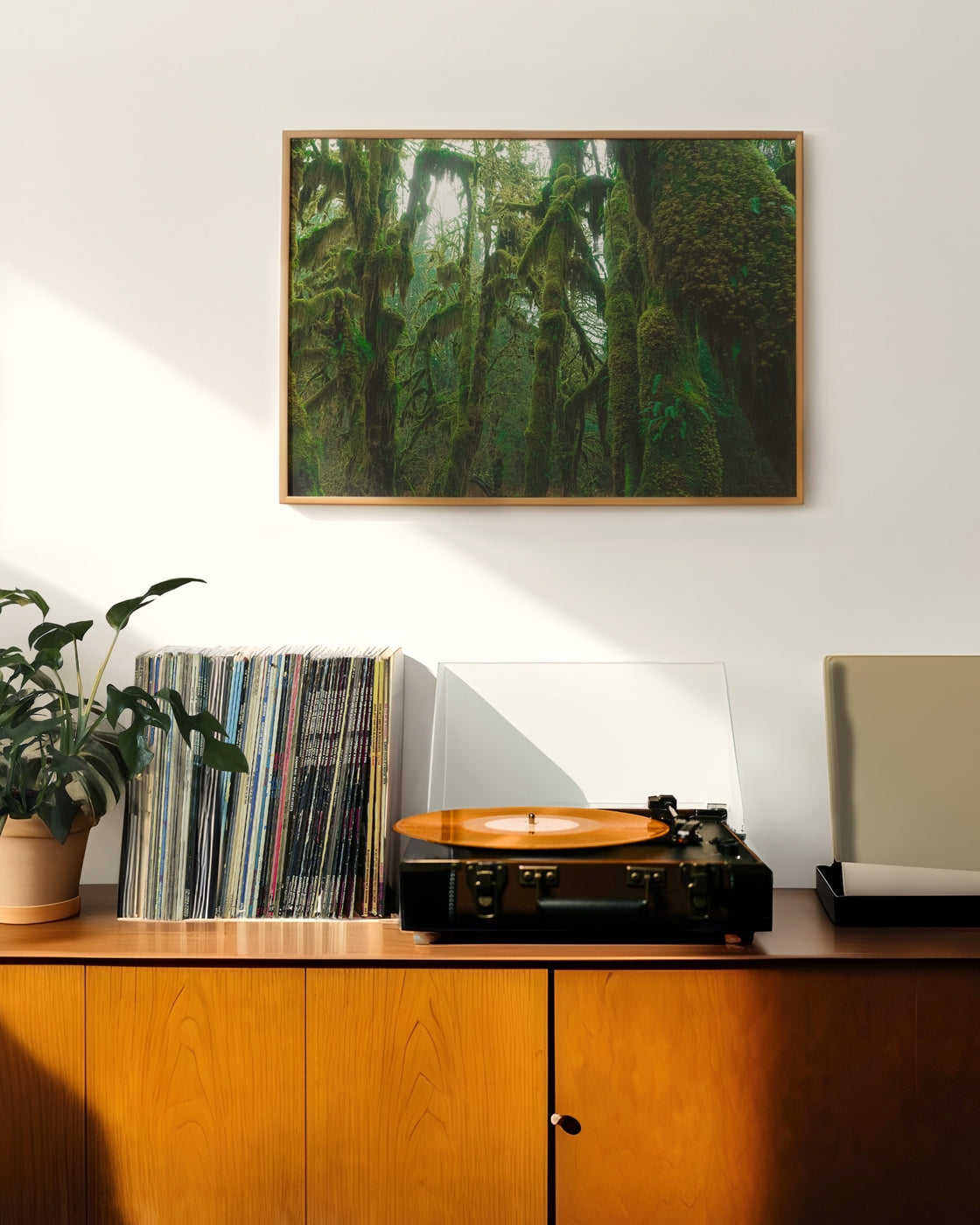 canvas