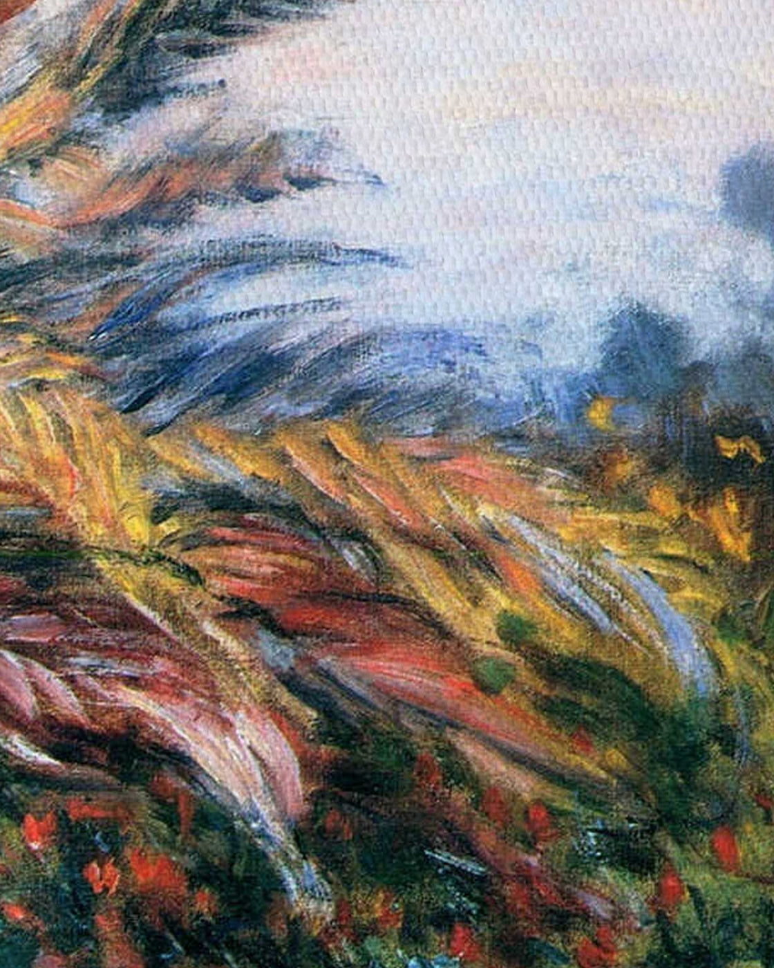 canvas