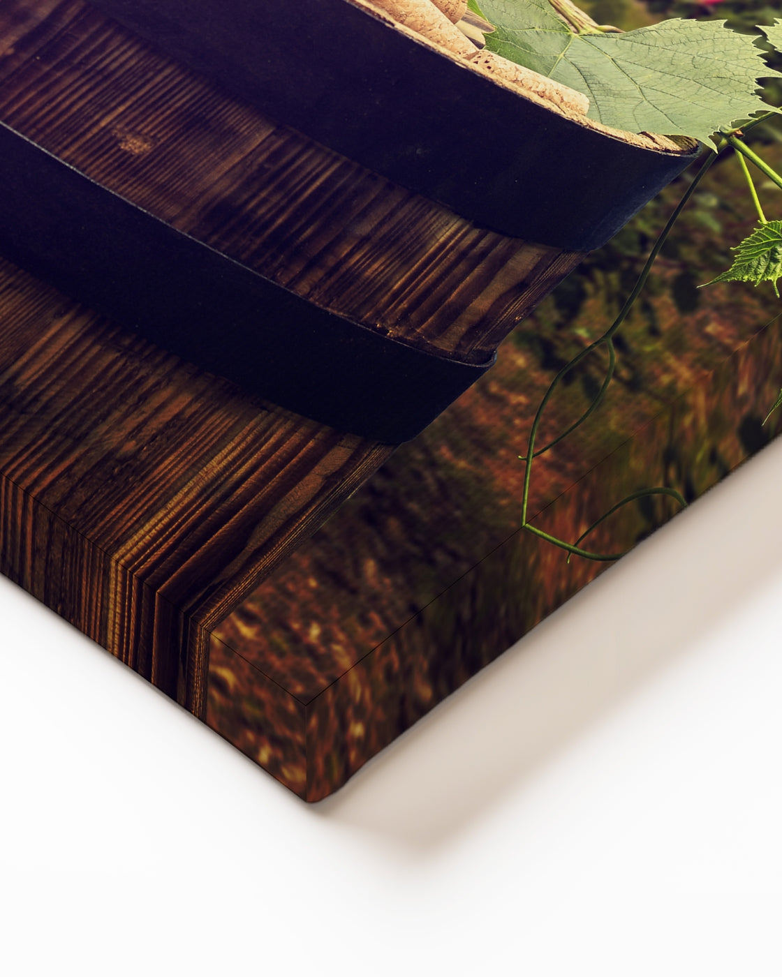 stretched-canvas