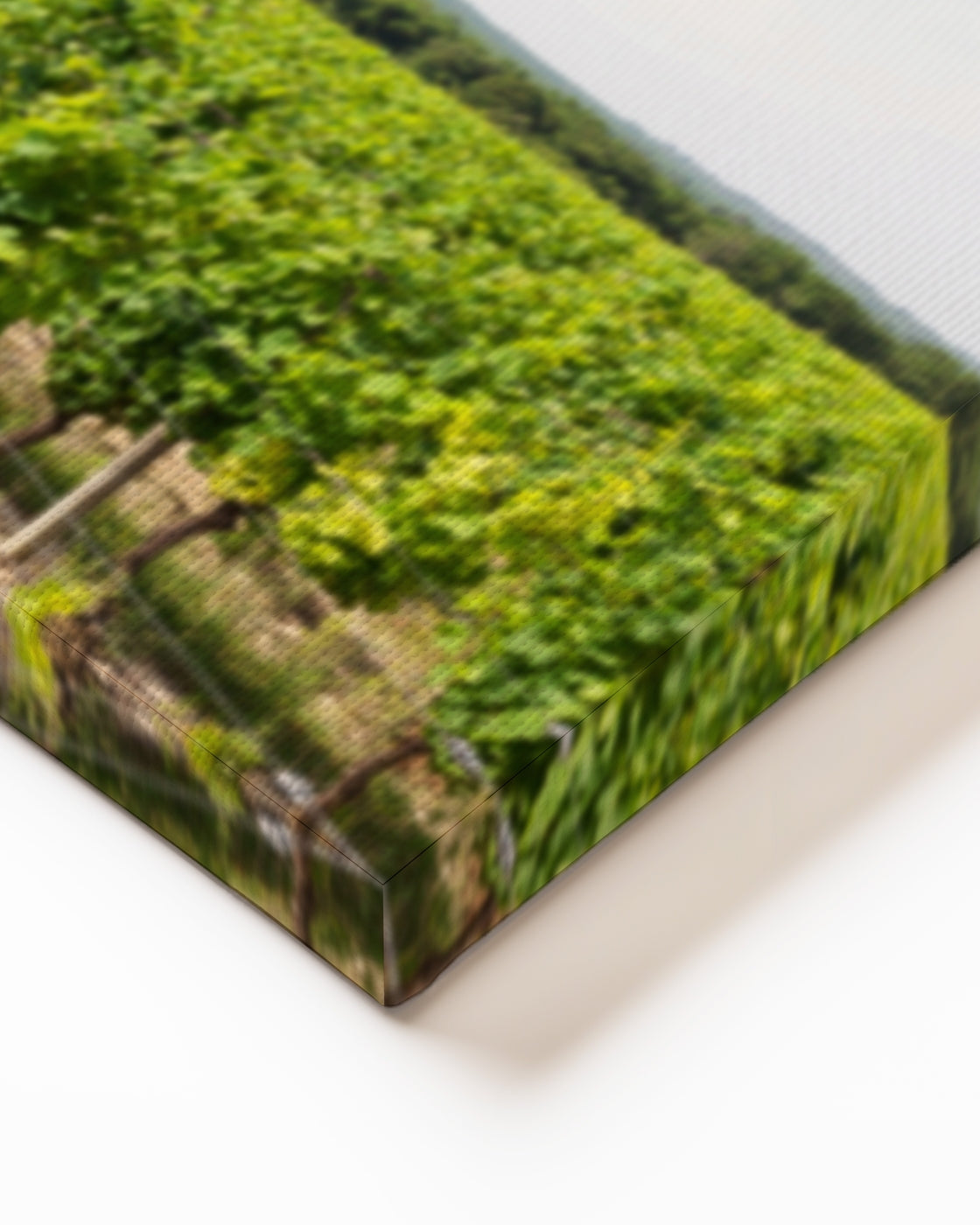stretched-canvas