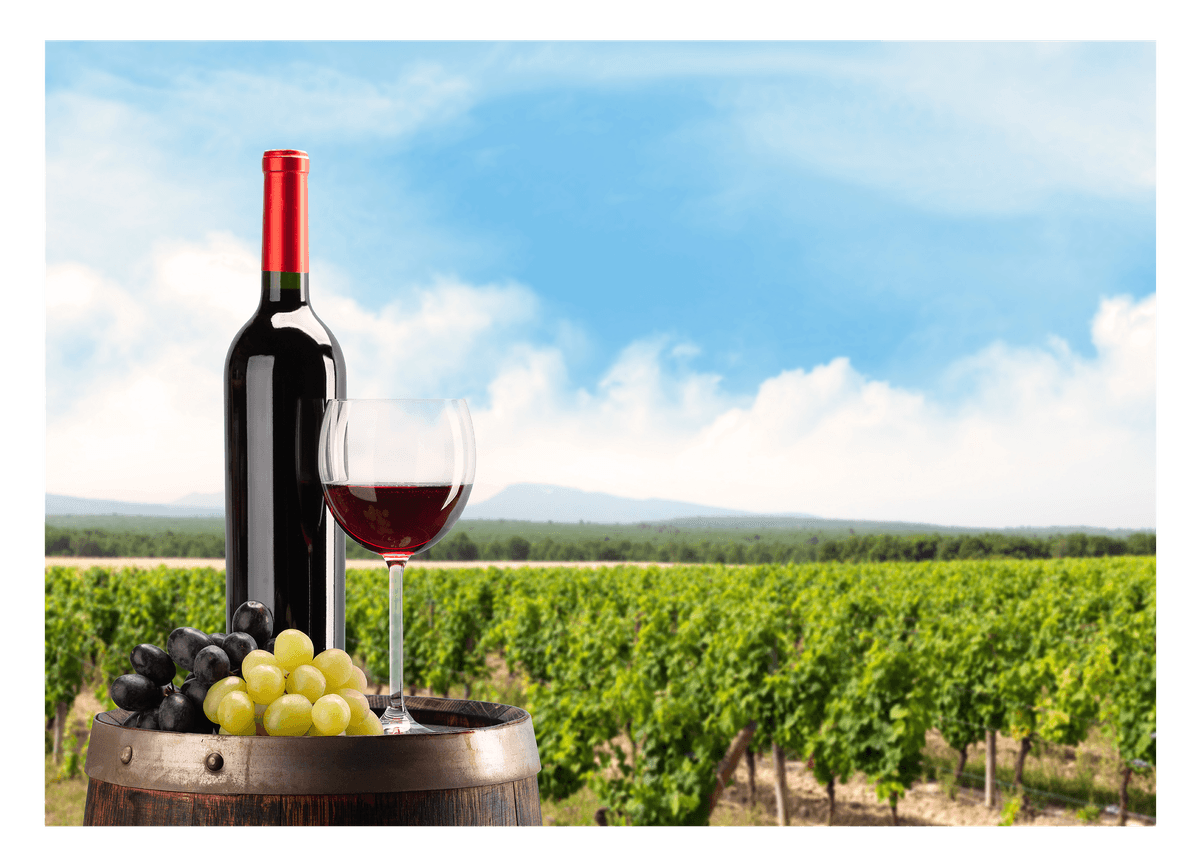 Wine bottle in a wine-growing region with grapes