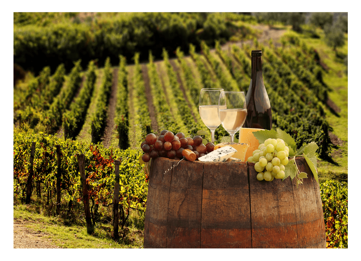 Wine bottle and glasses in a wine-growing region - idyllic setting