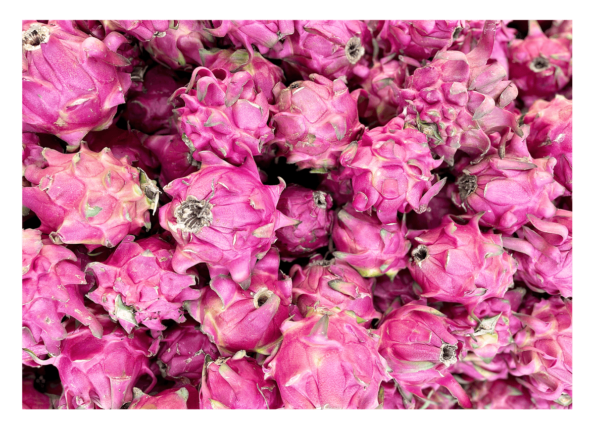 Dragon Fruit - Pitaya