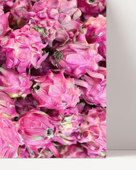 After Hover: Dragon Fruit - Pitaya