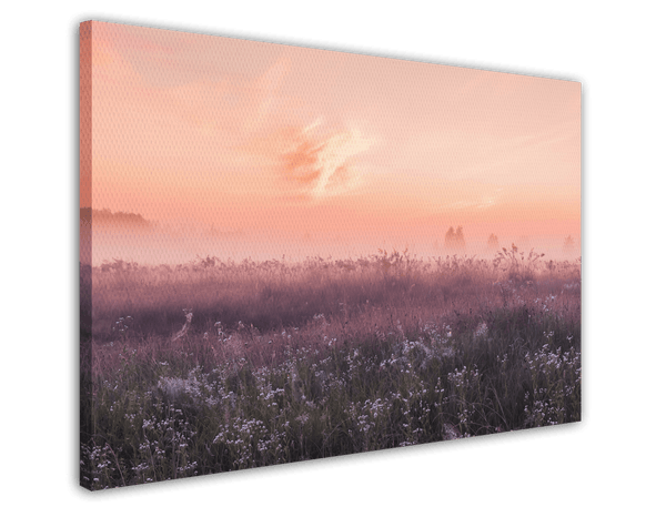 Romantische Blumenwiese
