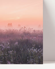 After Hover: Romantic flower meadow