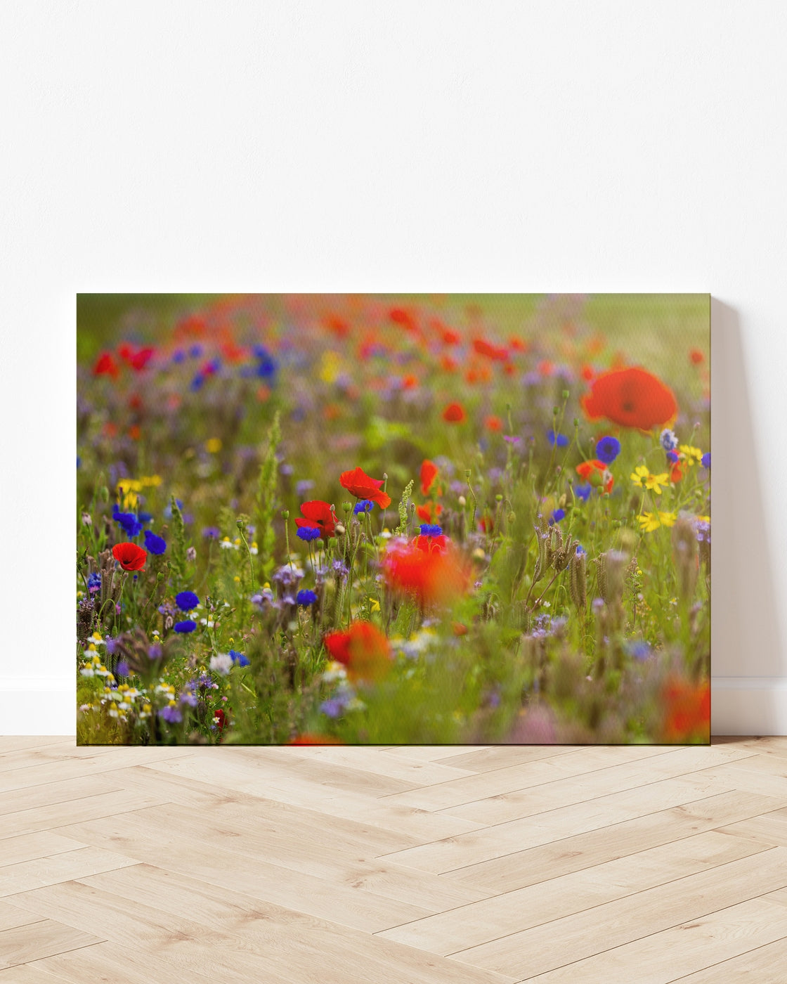 stretched-canvas